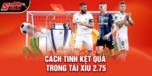 Tài xỉu 2.75 là gì – Hướng dẫn chi tiết cách chơi hiệu quả nhất 2026