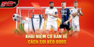 Cách Soi Kèo Odds Hiệu Quả - Hướng Dẫn Chi Tiết và Bí Quyết Thành Công