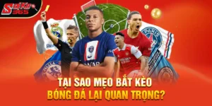 Mẹo Bắt Kèo Bóng Đá - Bí Quyết Chinh Phục Những Ván Cược Hấp Dẫn Nhất